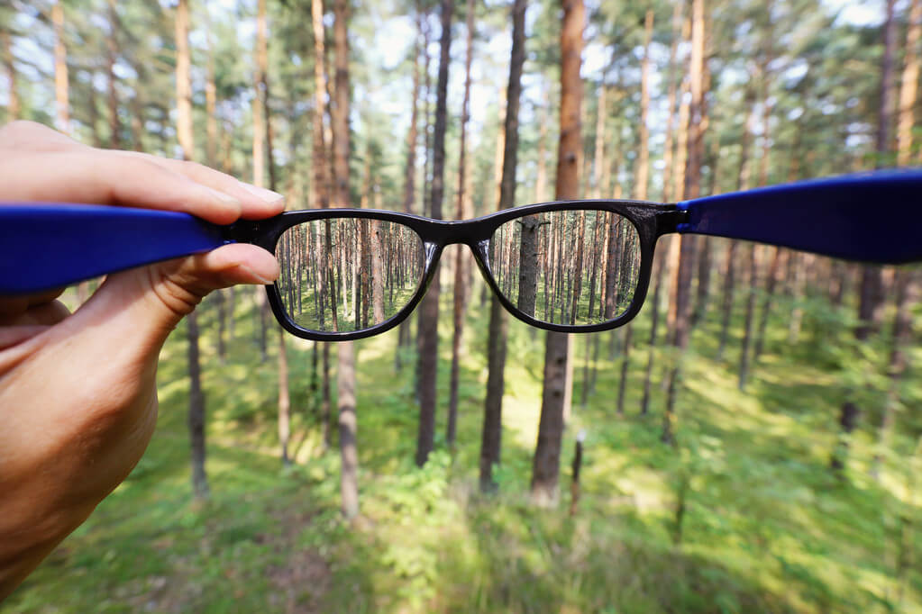 Kezében szemüveget tartva tisztán látja a fákat az erdőben